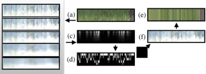 Fig. 5.  Pipeline of multi-scale shadow scale estimation. The  aligned penumbra unwrap (a) is filtered using average kernels  in exponentially increasing sizes to build a pyramid of shadow  scales (b)