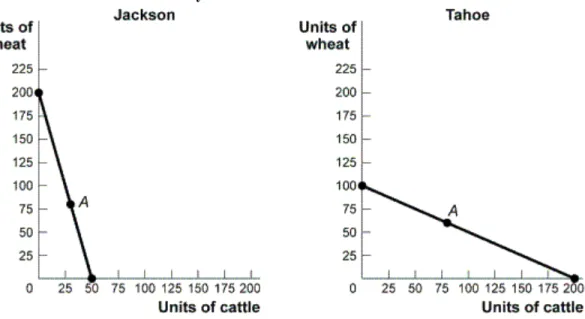 Figure 4-3: Production Possibility Curve for Jackson and Tahoe 