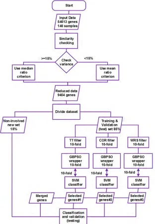 Fig 1. Experimental setup used to select autism-related genes and to perform classification.