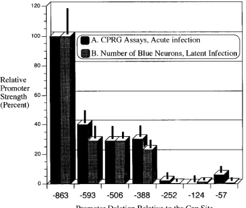 TABLE 1. Virus titers from ganglionic extracts processed 4 daysafter footpad inoculation with the viral recombinants