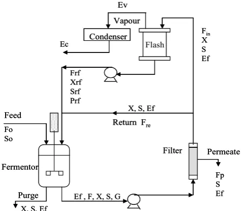 Fig. 1.  Diagram of the extractive fermentation process with vacuum flashing  
