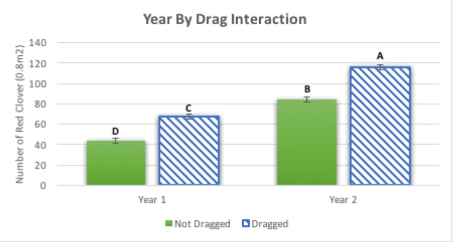 Figure 4. Average number of red clover seedlings per 0.8 square meters by year as impacted by dragging (averages with the same letter are not significantly different, p < 0.05)