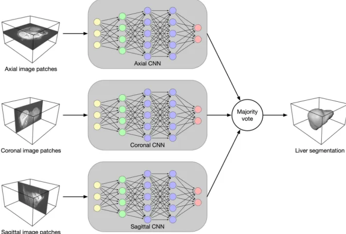 Fig 1. Overview of the Liver-Net method. Three 2D U-net-like models analyze axial, coronal and sagittal image patches