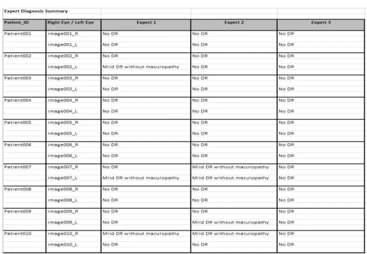 Fig. 4 Summary of experts’ diagnosis