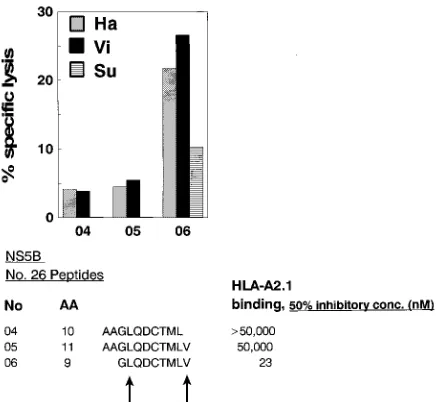 TABLE 5. CTL responses against a panel of peptides with high or intermediate binding to HLA-A2.1a