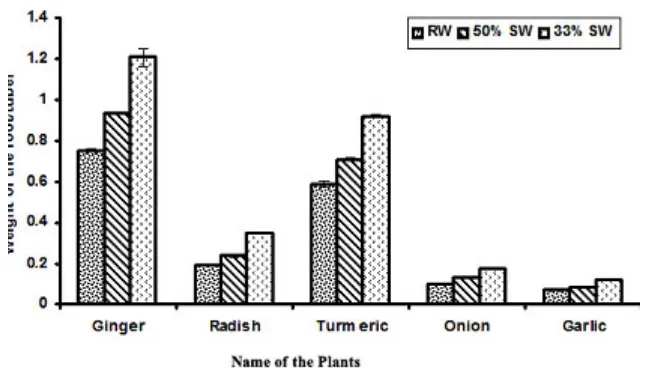 Fig. 1: Yield of tuber/root medicinal plants in raw water (RW), 50% PTSW, 33% PTSW