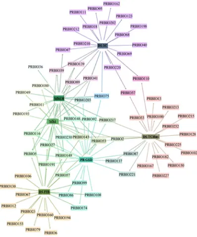 Figure 3. Network diagram of the relationship between the clones selected by direct selection for tons of cane per hectare with no straw (DS.TCHns), sucrose content (DS.SC), and fiber percentage (DS.FIB) and the indices of Mulamba and Mock without estimated weight (MM), with economic weight equal to heritability (MM.H), and Pesek and Baker with the desired gains equal to the genetic standard deviation (PB.GSD), at a selection rate of 10% for each index for energy cane clones.