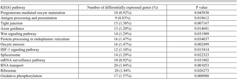Table 2. GO enrichment analysis of differentially expressed genes.