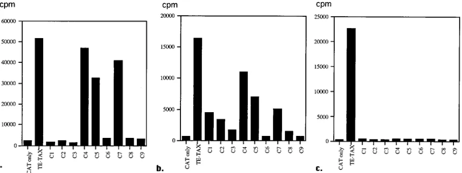 TABLE 2. Tax-speciﬁc CTL do not recognize variant peptidesa