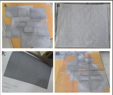 Fig. 2.  A.  Printed  section  images;  B.  Printed  grid;  C.  Printed  stage  micrometer;  D