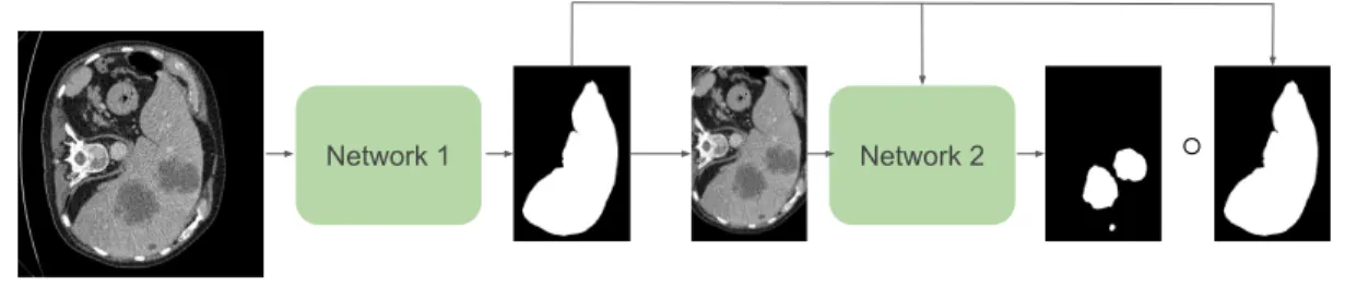 Figure 3.4: Scheme of just back propagating trough liver.