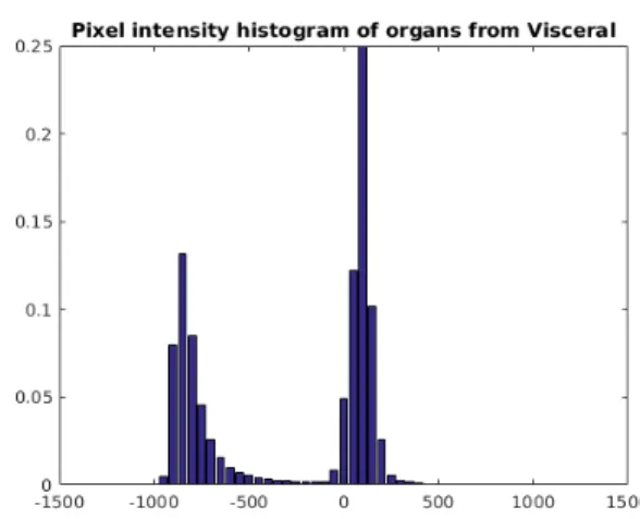 Figure 4.4: The pixel intensity histogram of images from Visceral dataset.