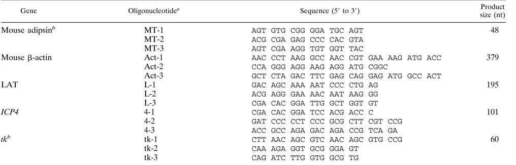 TABLE 1. Primers and probes