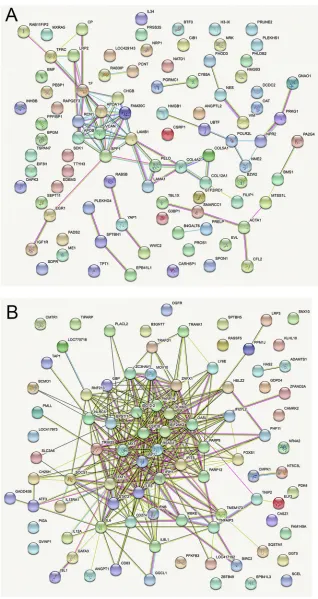 FIG 8 STRING analysis of the relationships between differentially expressed transcripts in comparisons ofIBV M41-CK- and mock-infected cells