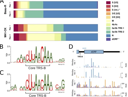 FIG 2 (A) Proportion of chimeric reads assigned to each of the indicated TRS junctions