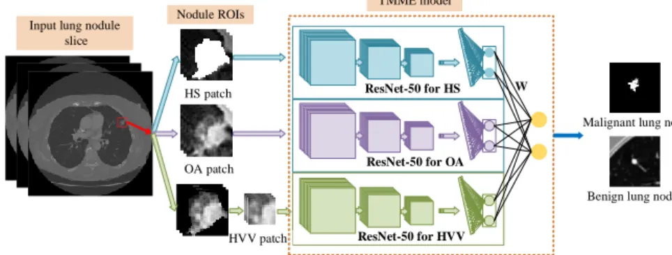 Fig. 1. Framework of our proposed TMME algorithm 
