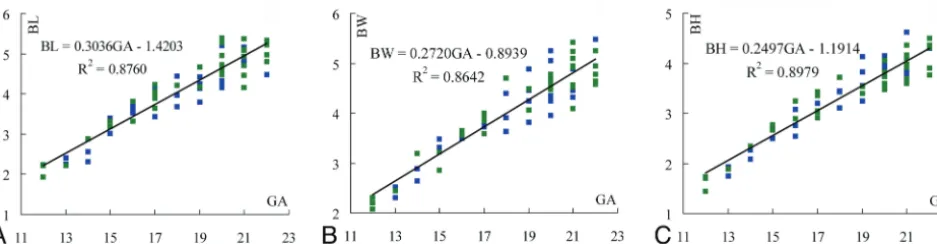 FIG 4. Quantitative measurements of fetal brain surface area and volume. The measurements increase linearly with GA