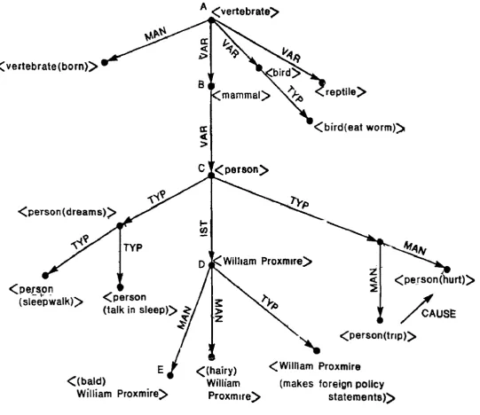 Figure 2 Paradigmatic organization 