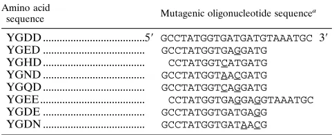 TABLE 1. DNA oligomers used to create mutations in 3Dpol gene