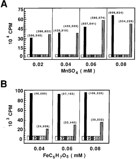 TABLE 2. Virus recovery after transfection in the presence ofmetal ions of poliovirus containing 3D-N-329 mutation