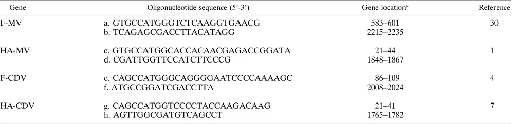 TABLE 1. Ability of mouse-human hybrids to undergo cell fusion following either MV/CDV infection or viral glycoprotein coexpression