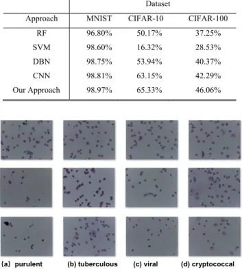 FIGURE 8. Testing accuracy on the CIFAR-100 dataset.