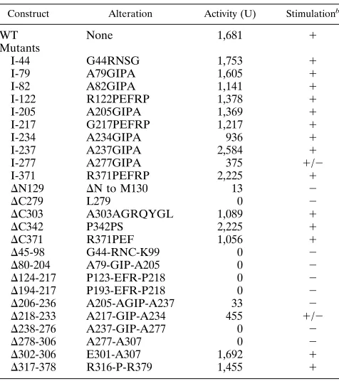FIG. 1. IVT expression of EBV BALF5 and BMRF1. DNA templates pEX-HSVpol2, pYES2-M1, and pEX-EBVpol3, respectively, were used to express