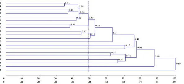 Figure 3. Dendrogram built by cluster analysis UPGMA based on Jaccard’s genetic similarity coefficient in a natural population of 20 Poincianella pyramidalis individuals, from 20 RAPD markers.