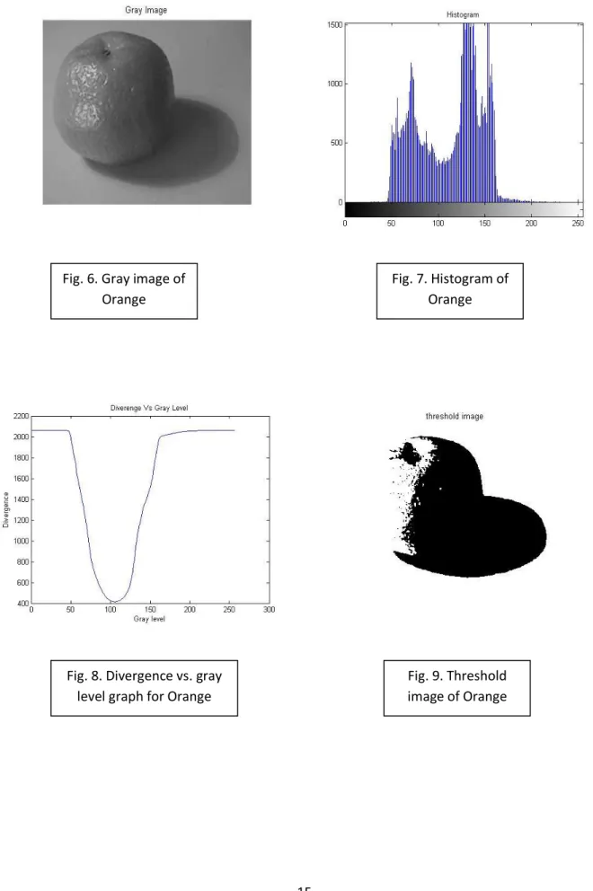 Fig. 8. Divergence vs. gray  level graph for Orange 