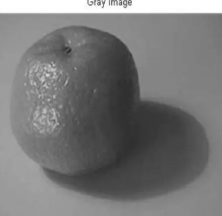 Fig. 19. Divergence vs. Gray level graph                        Fig. 20. Thresholded image of Orange  for Gray image 
