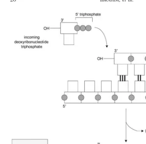 FIGURE 3Polymerization in action.