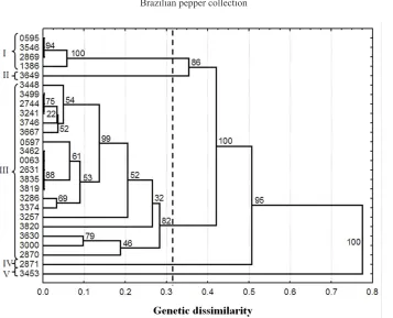Figure 4. Genetic dissimilarity among 26 accessions in the Brazilian Germplasm Bank of Capsicum frutescens of Embrapa Vegetables