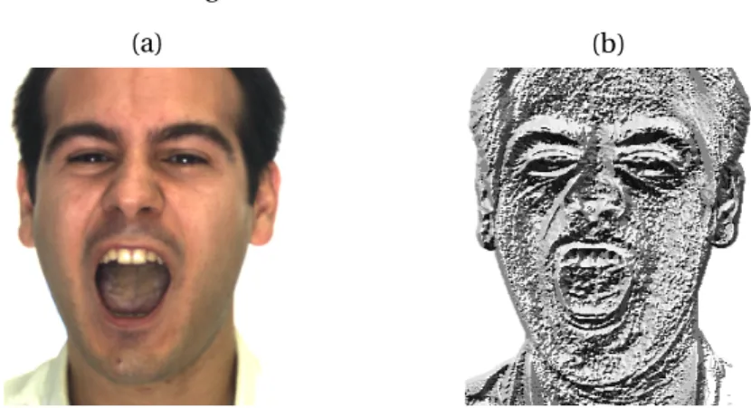 Figure 2.4 shows how a face image in encoded in terms of their LBP decimals.