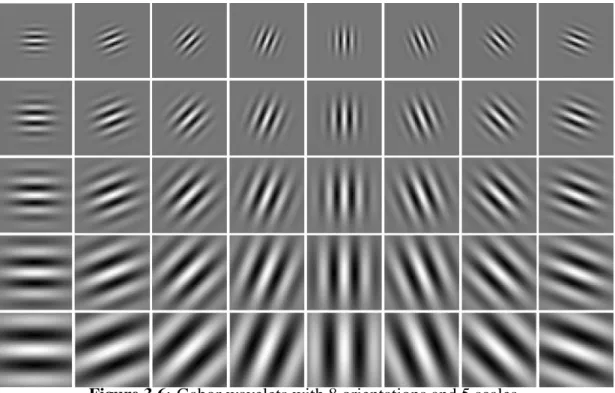 Figure 3.6: Gabor wavelets with 8 orientations and 5 scales.