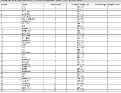 Table 3. Basic information of 36 simple sequence repeat (SSR) primer pairs.