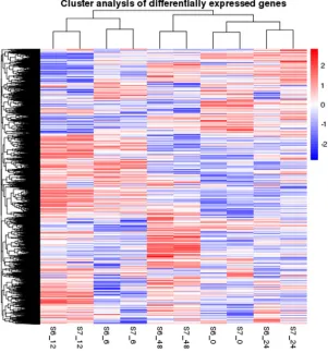 Figure 1. Hierarchical clustering analysis of salinity-induced changes in gene expression in peanut leaves