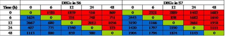 Figure 2. Changes in the numbers of differentially expressed gene (DEGs) in the S6 and S7 genotypes of peanut following salinity-stress treatment