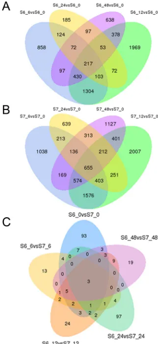 Figure 3. Venn diagrams indicating the numbers of differentially expressed genes (DEGs) in: A