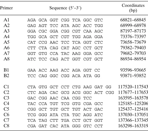 TABLE 2. Primers used in EBV genome analysis