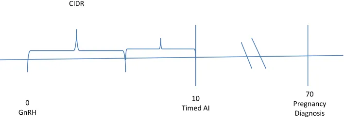 Figure 2:  Estrous synchronization protocol that was used for all cattle in Experiment 2