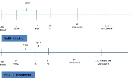 Figure 4: Treatments for Experiment 3 that were used at both locations.  The only difference between the locations was there was an addition bleed date at Bar L that was 20 days prior to CIDR insertion