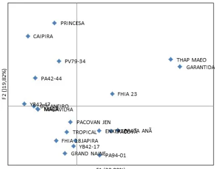 Figure 2. Phylogenetic representation of Unweighted Pair Group Method using Arithmetic averages (UPGMA) clustering estimated by the genetic similarity of the Jaccard coefficient and by the bootstrap analysis (10,000x) for 21 banana genotypes cultivated in the state of Sergipe, Brazil.