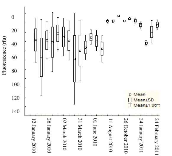 Figure  3.4:  Mean  values  of  chlorophyll  fluorescence  at  deep  stations  (W1,  N1,  O,  S1  and  E1)  from 01 December 2009 to 11 March 2011