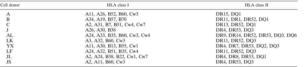 TABLE 1. HLA class I and II determinations in healthy donors