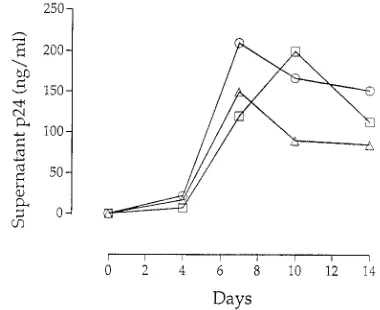 FIG. 1. Schematic outline of coculture experiment. Donor cells (106added to 21, 2, or 3