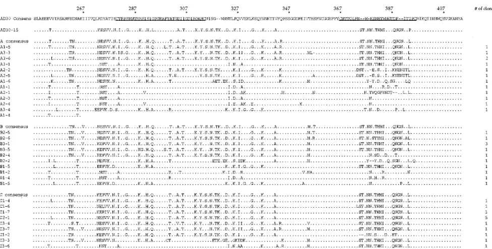 FIG. 3. Deduced amino acid sequences from uncultured AD30 PBMC. The consensus sequence is at the top, with V3 and V4 loops underlined