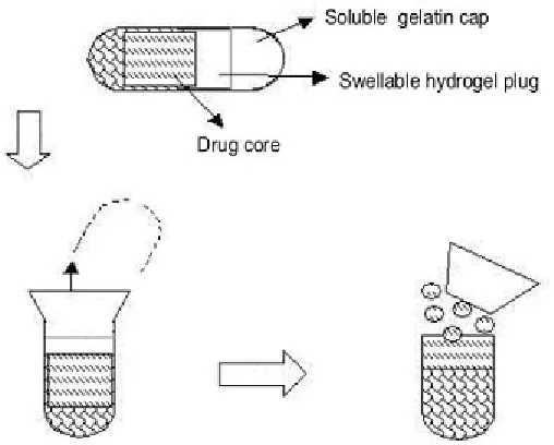 Fig. 1: Pulsatile drug release from erodible matrix
