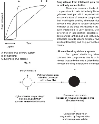 Fig. 4: Release of a drug from a bulk eroding polymer system