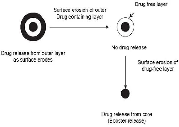 Fig. 6: Temperature sensitive pulsatile systems
