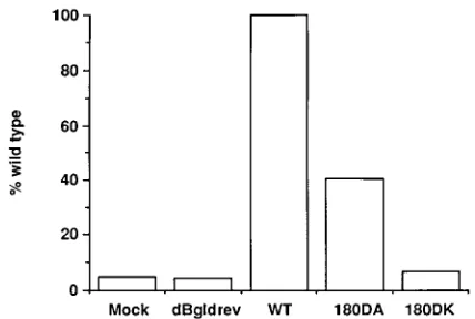 FIG. 4. CAT activity of virions with mutant envelope proteins. Cell-freevirions derived from COS-7 cells cotransfected with a defective provirus clone,